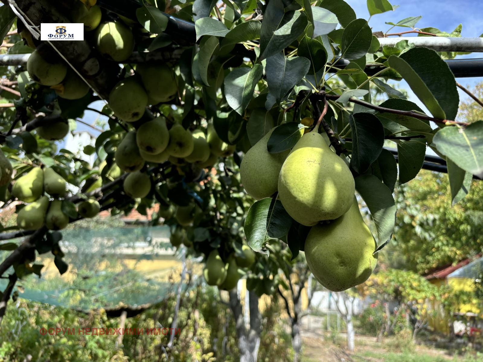 Продава КЪЩА | Imot.bg — изображение 15