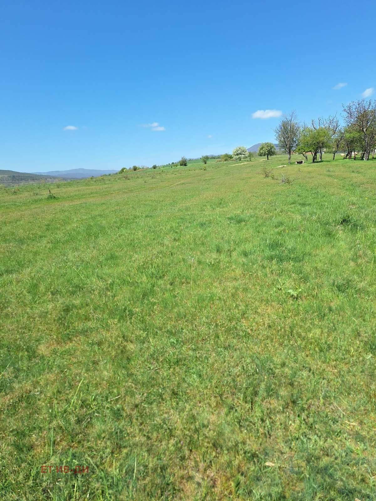 ������� ������ | Imot.bg � ����������� 5