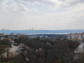 ����� ������� 2-�����,���� �����, �������� �������