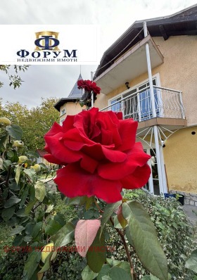 Hus Lesnovo, region Sofia 6
