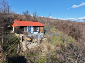 ������ ������� ����