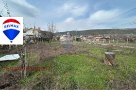 ������ ������� ������