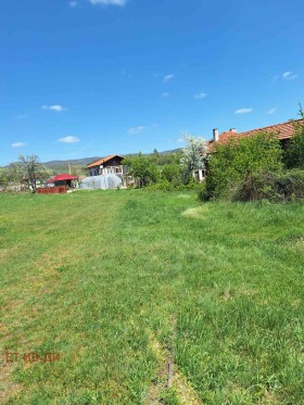 ����� ������� ������,�. ������, ������ �����