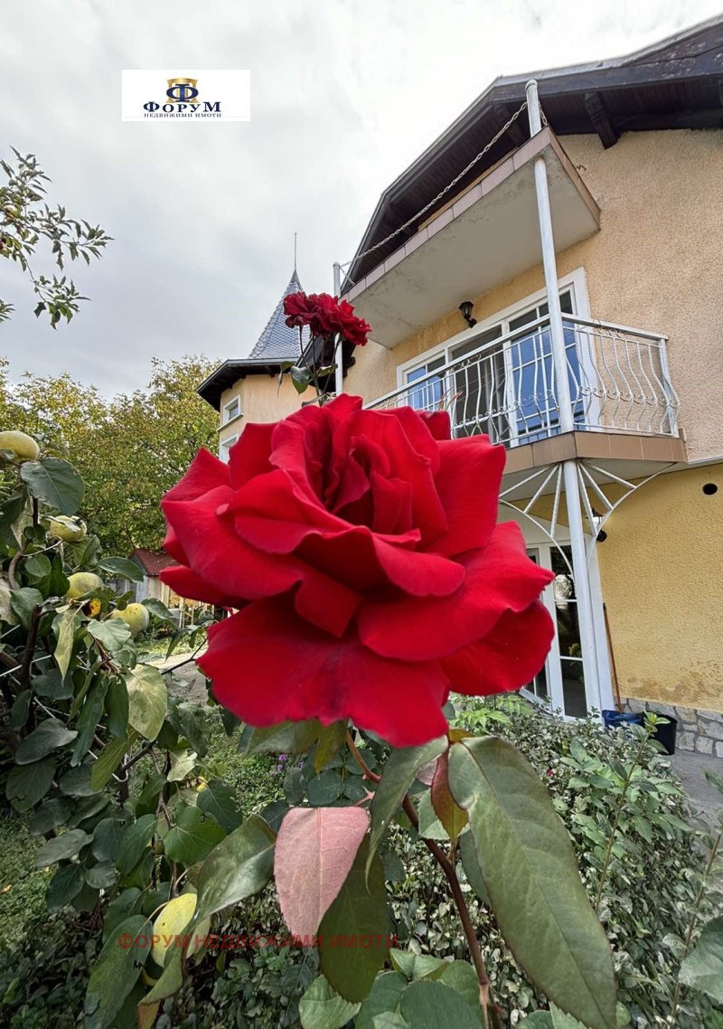 Til salg  Hus region Sofia , Lesnovo , 422 kvm | 41278659 - billede [5]