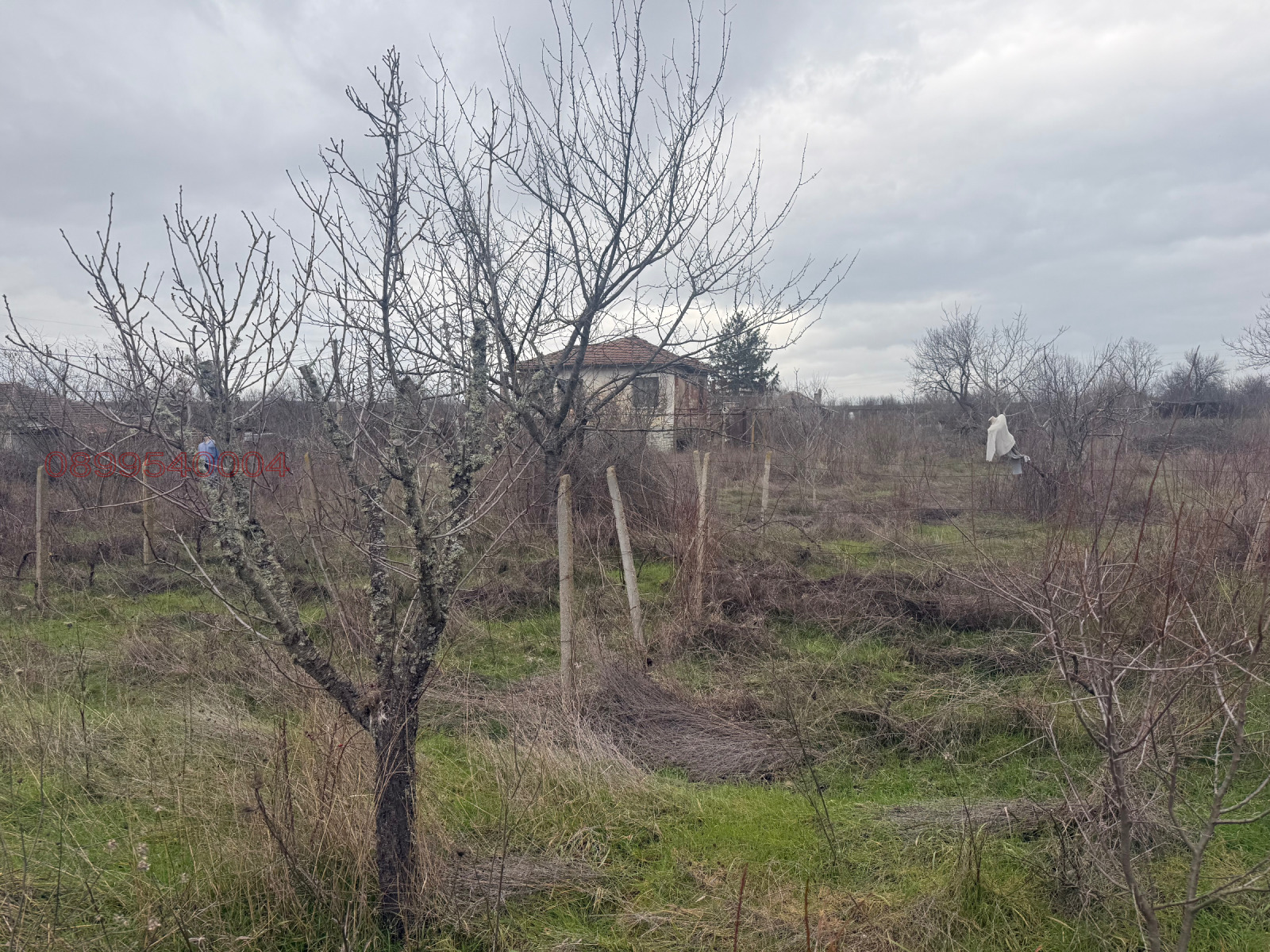 Продава КЪЩА, с. Суходол, област Бургас, снимка 3 - Къщи - 55106012