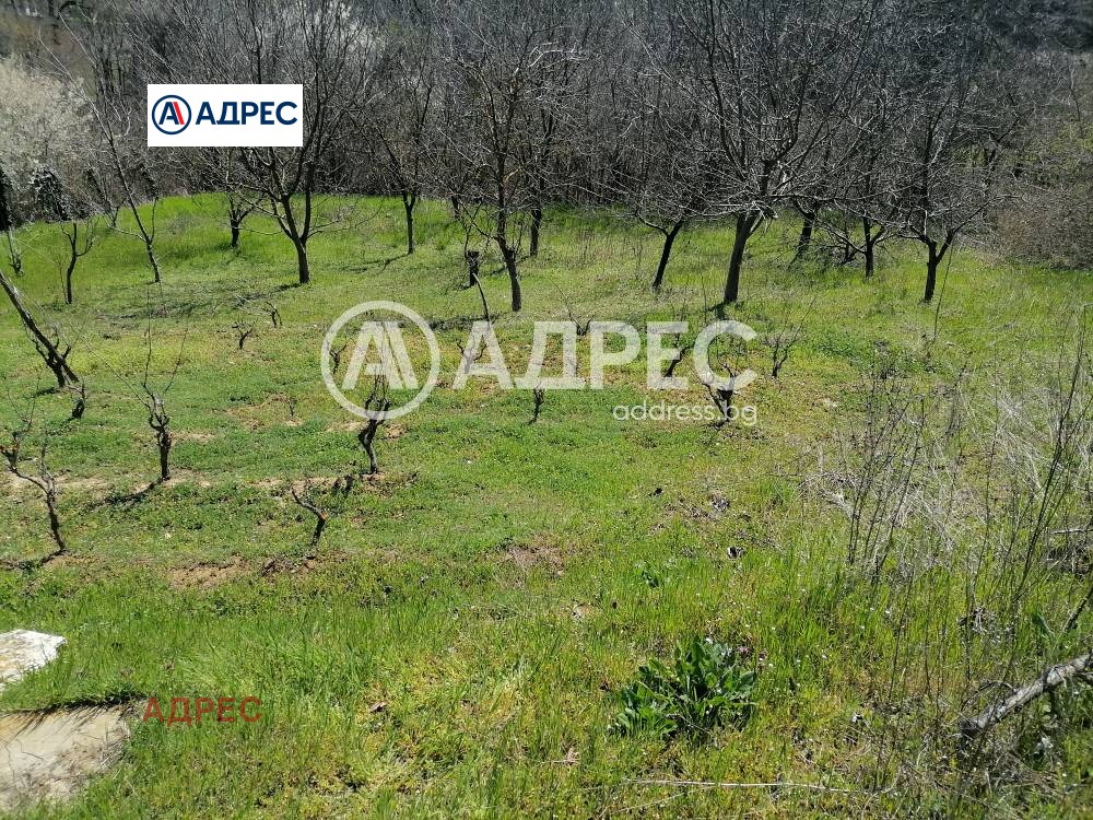 Продава ПАРЦЕЛ, с. Осеново, област Варна, снимка 7 - Парцели - 54643773