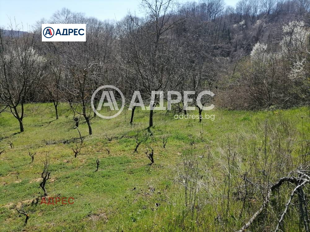 Продава ПАРЦЕЛ, с. Осеново, област Варна, снимка 12 - Парцели - 54643773