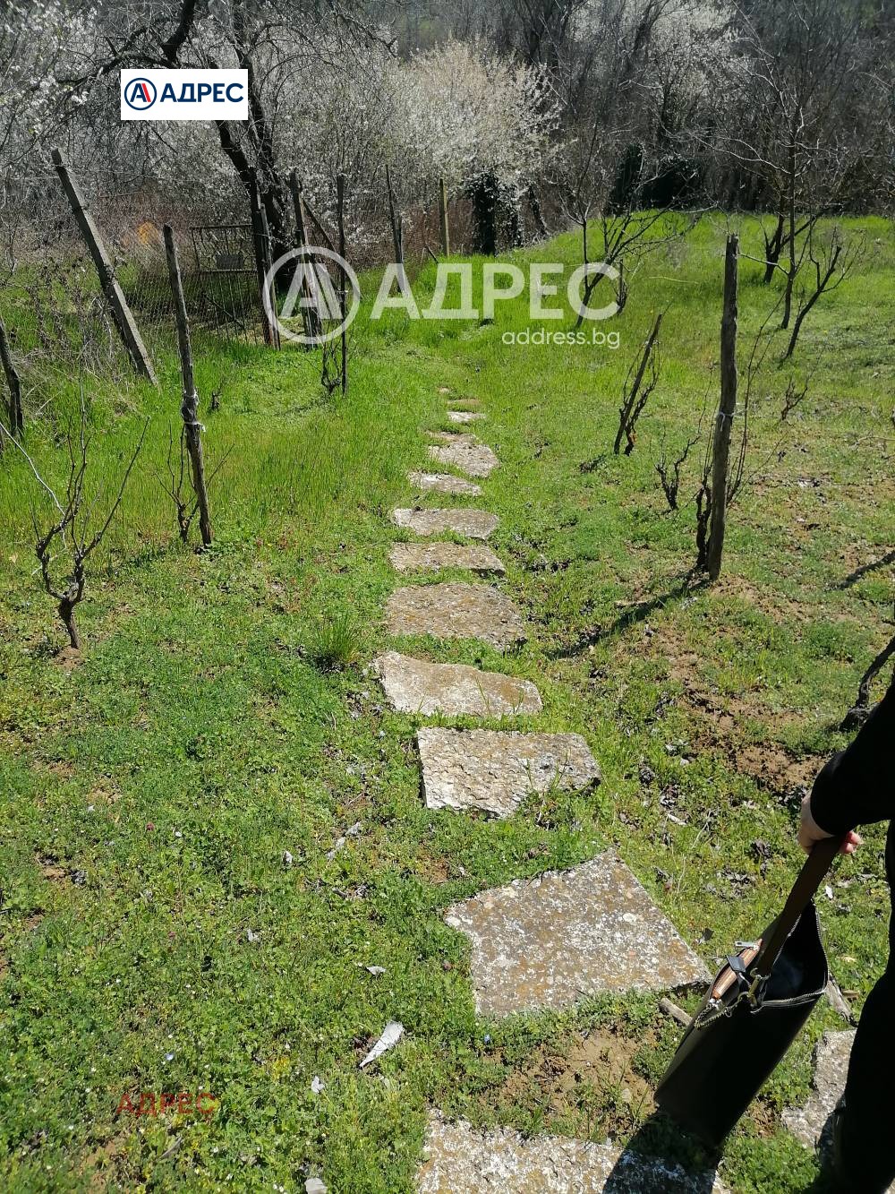 Продава ПАРЦЕЛ, с. Осеново, област Варна, снимка 4 - Парцели - 54643773