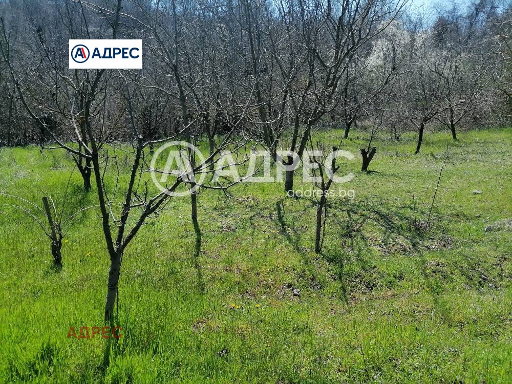 Продава ПАРЦЕЛ, с. Осеново, област Варна, снимка 9 - Парцели - 54643773
