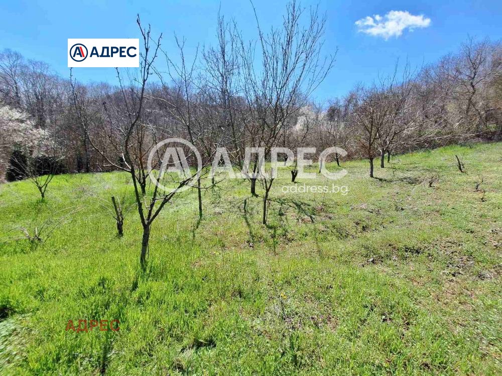 Продава ПАРЦЕЛ, с. Осеново, област Варна, снимка 5 - Парцели - 54643773