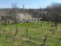 Продава ПАРЦЕЛ, с. Осеново, област Варна, снимка 10