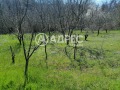 Продава ПАРЦЕЛ, с. Осеново, област Варна, снимка 9