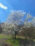 Продава ПАРЦЕЛ, с. Осеново, област Варна, снимка 14
