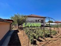 Продава КЪЩА, област Пловдив, с. Чешнегирово • 142990 € • 72793673 — Holmes.bg
