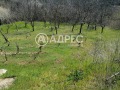 Продава  Парцел област Варна , с. Осеново , 668 кв.м | 71759251 - изображение [7]