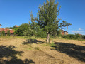 Продава ПАРЦЕЛ, област Перник, с. Мещица • 33000 € / 64542.39 лв. • 24870597 4