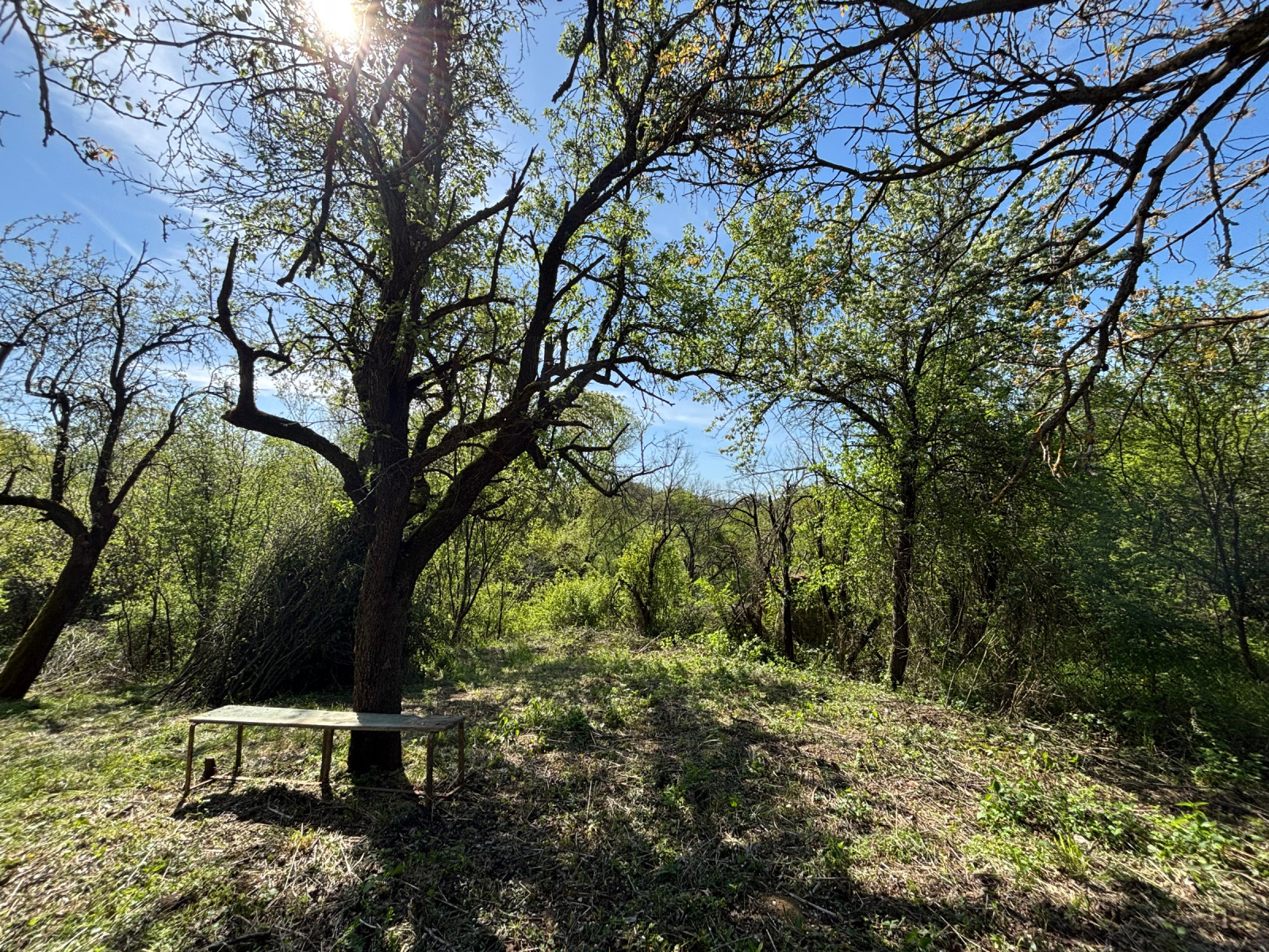 ������� ���� | Imot.bg � ����������� 11