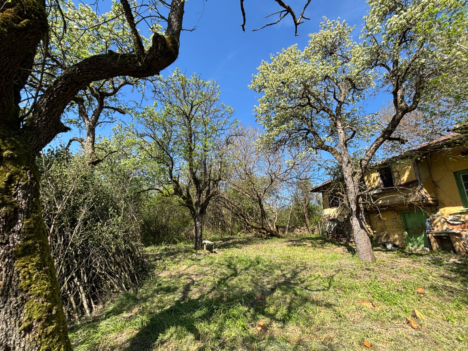 ������� ���� | Imot.bg � ����������� 5