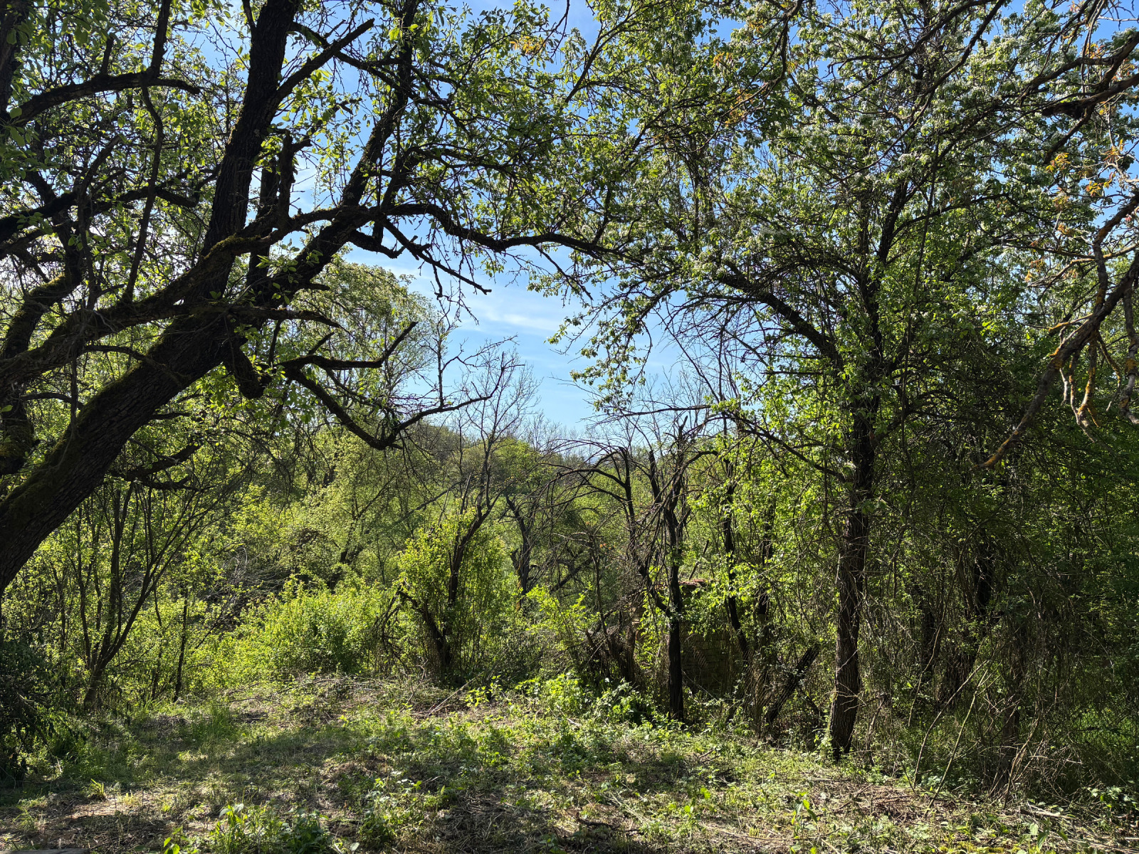 ������� ���� | Imot.bg � ����������� 10