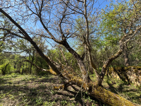 ������� ���� | Imot.bg � ����� ������ 9