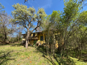 ����� ������� ����,�. �������, ������ �����