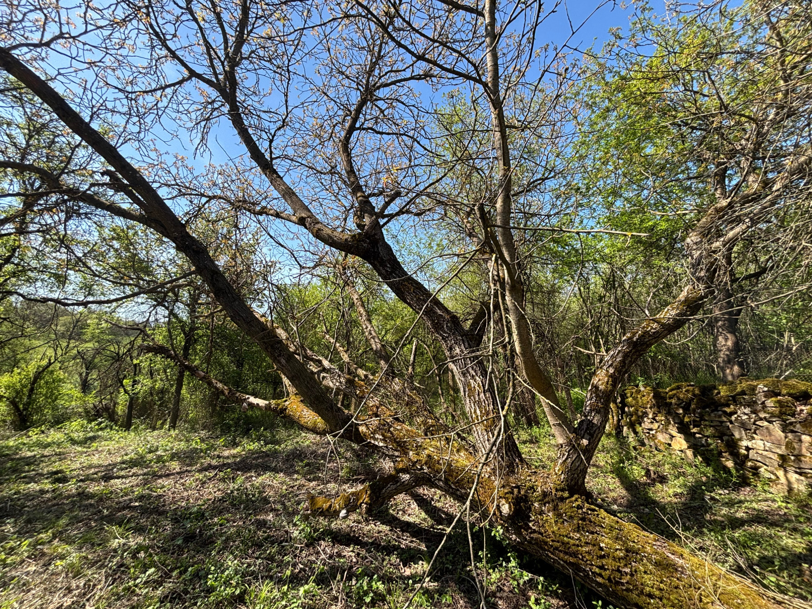 Продава КЪЩА, с. Равнище, област София област, снимка 9 - Къщи - 54350038