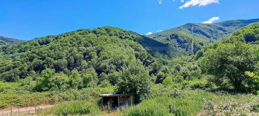 ������� ���� | Imot.bg � ����������� 6