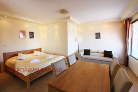 Studio Bansko, region Blagoevgrad 6