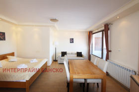 Studio Bansko, region Blagoewgrad 5