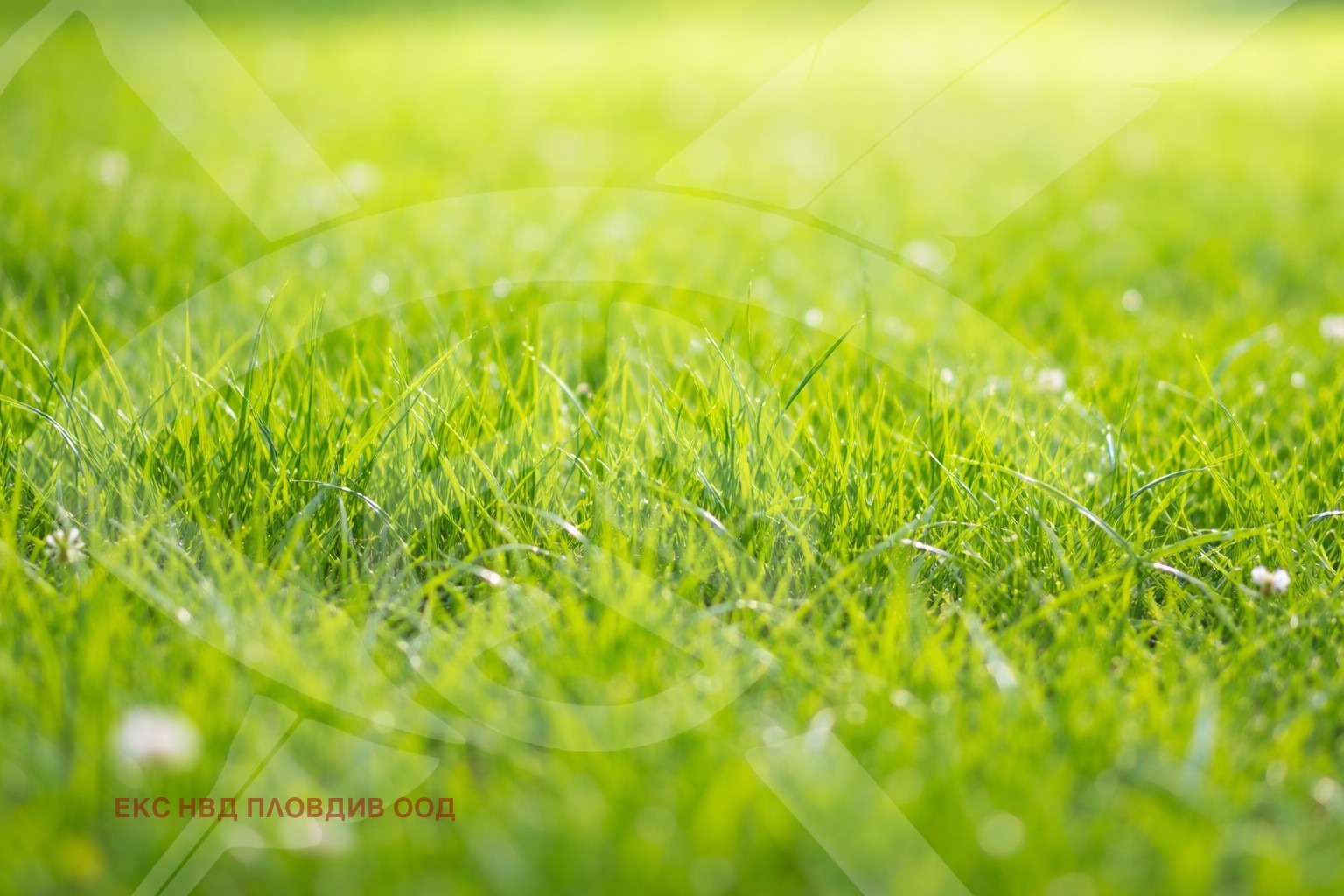 ������� ������ | Imot.bg � ����������� 1