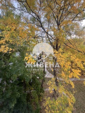 ������� 3-����� | Imot.bg � ����� ������ 8