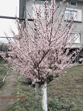 ������� ���� | Imot.bg � ����� ������ 4