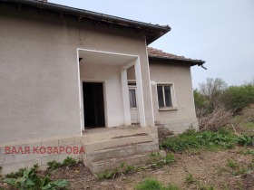 ������ ������� ����