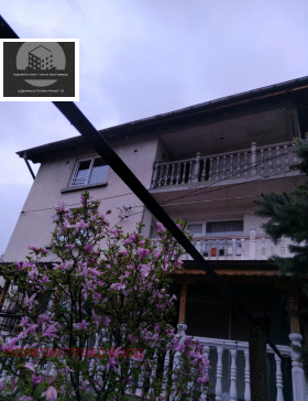 ������ ������� ����