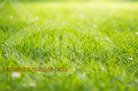 ����� ������� ������,�. �������, ������ �������