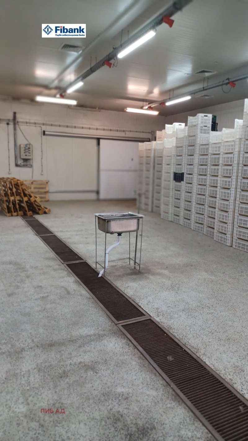 Na prodej  Průmyslová budova oblast Shumen , Veliki Preslav , 4350 m2 | 68658027 - obraz [4]