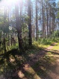 Продава КЪЩА, гр. София, с. Подгумер, снимка 6