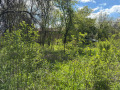 Продава ПАРЦЕЛ, с. Баевци, област Велико Търново, снимка 6
