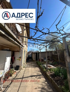 ������ ������� ����