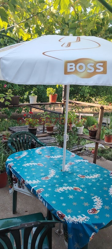 Продава ВИЛА, гр. Разград, Лудогорие, снимка 12 - Вили - 53652636