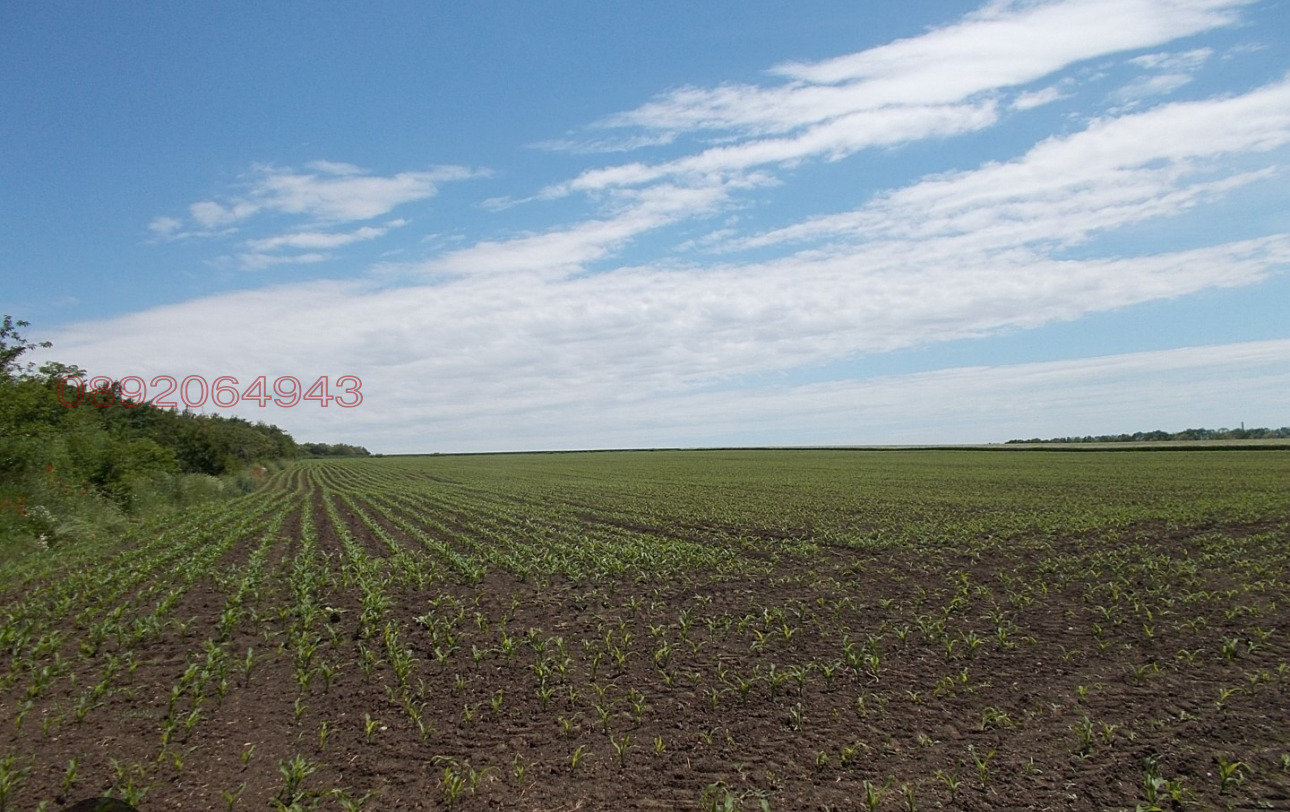 Продава ЗЕМЕДЕЛСКА ЗЕМЯ, с. Конаре, област Добрич