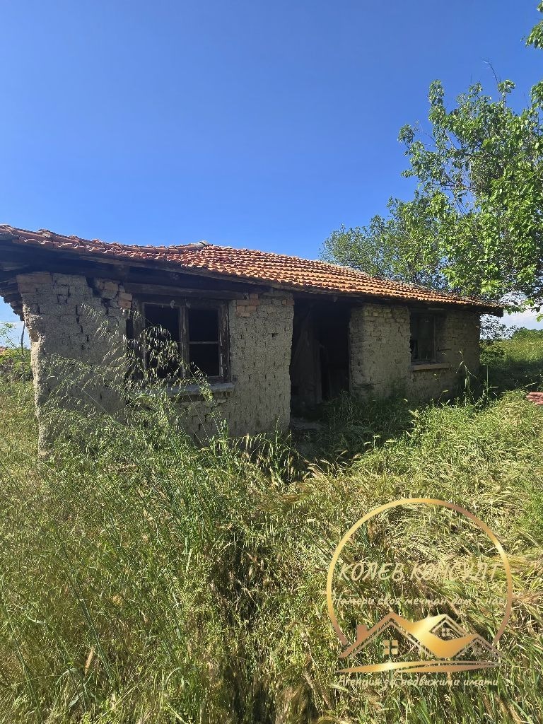 Продава КЪЩА, с. Троян, област Хасково, снимка 2 - Къщи - 54739316