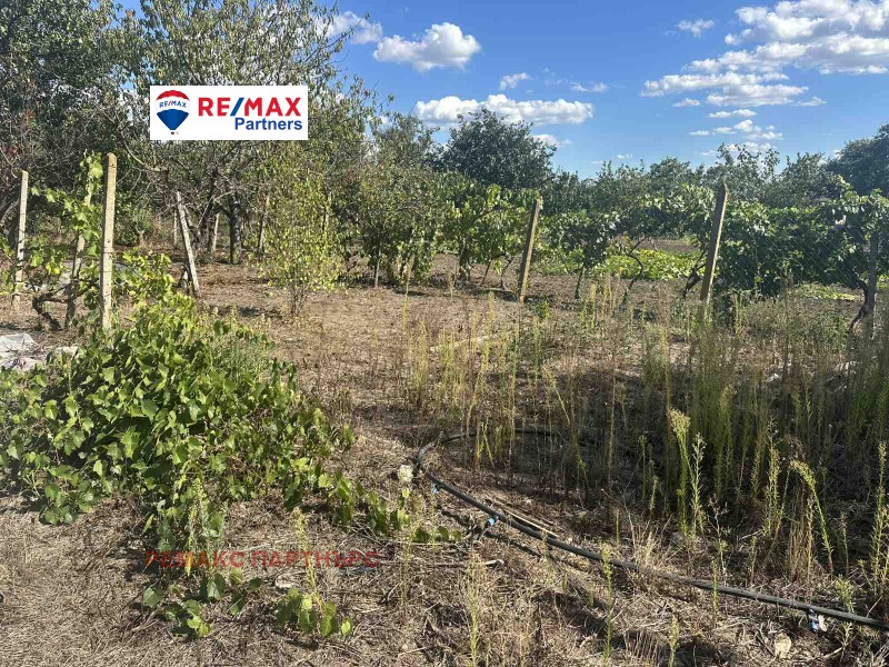 Till salu  Komplott region Varna , Slantjevo , 875 kvm | 18375717 - bild [5]