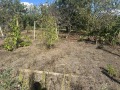 Продава ПАРЦЕЛ, с. Слънчево, област Варна, снимка 4