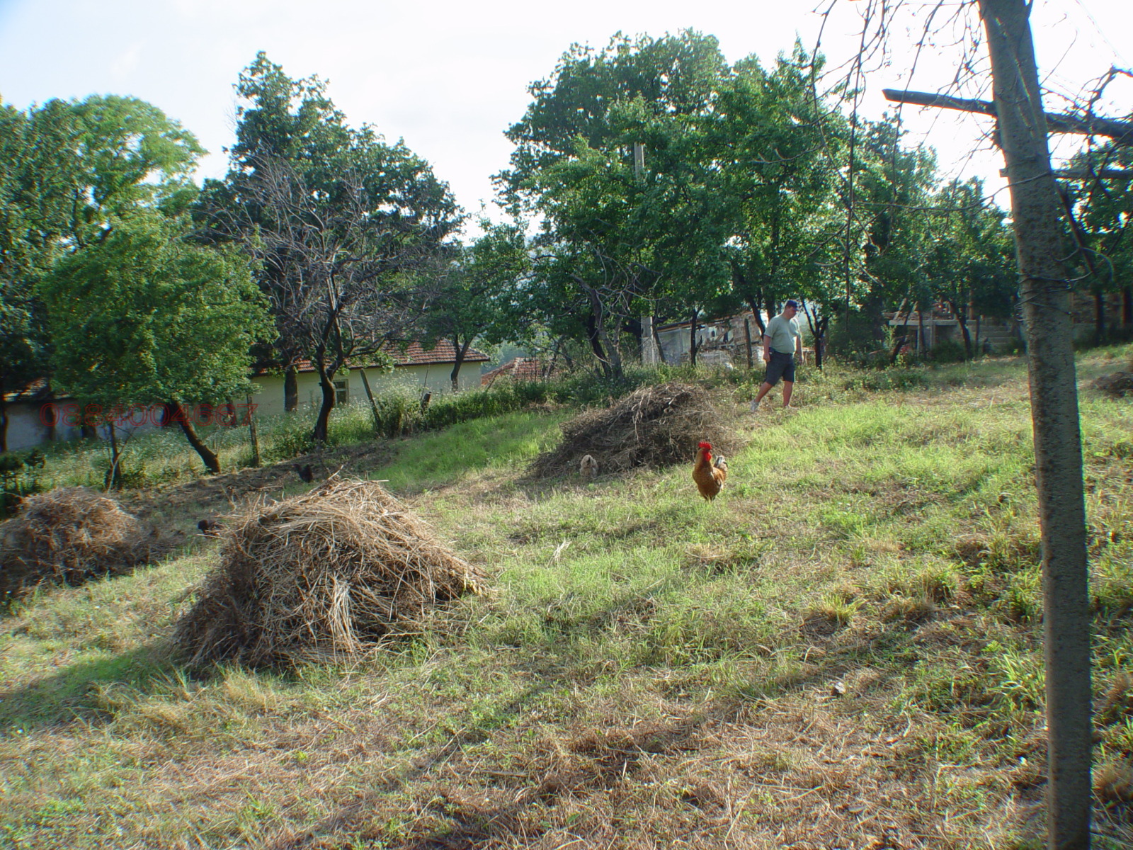 ������� ���� | Imot.bg � ����������� 8