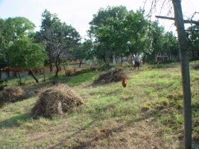 ������� ���� | Imot.bg � ����� ������ 8