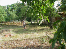 ������� ���� | Imot.bg � ����� ������ 6