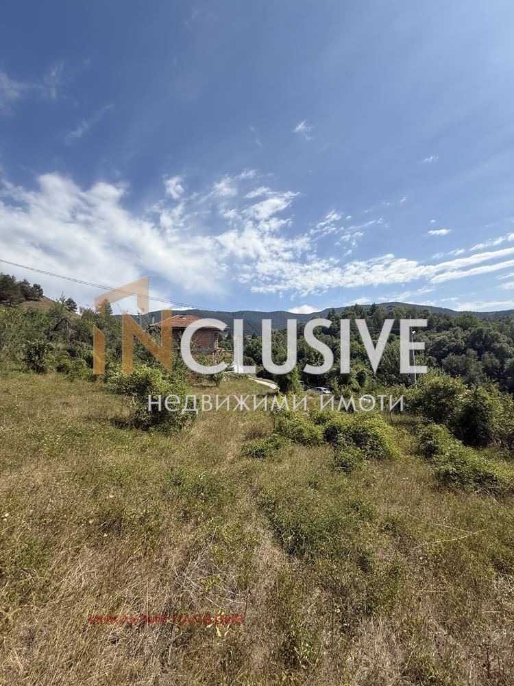 À vendre  Parcelle région Smolyan , Pavelsko , 2052 m² | 40744528 - image [3]