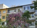 Продава 2-СТАЕН, град Плевен, Сторгозия • 66900 € / 130845.03 лв. • 89322842 14