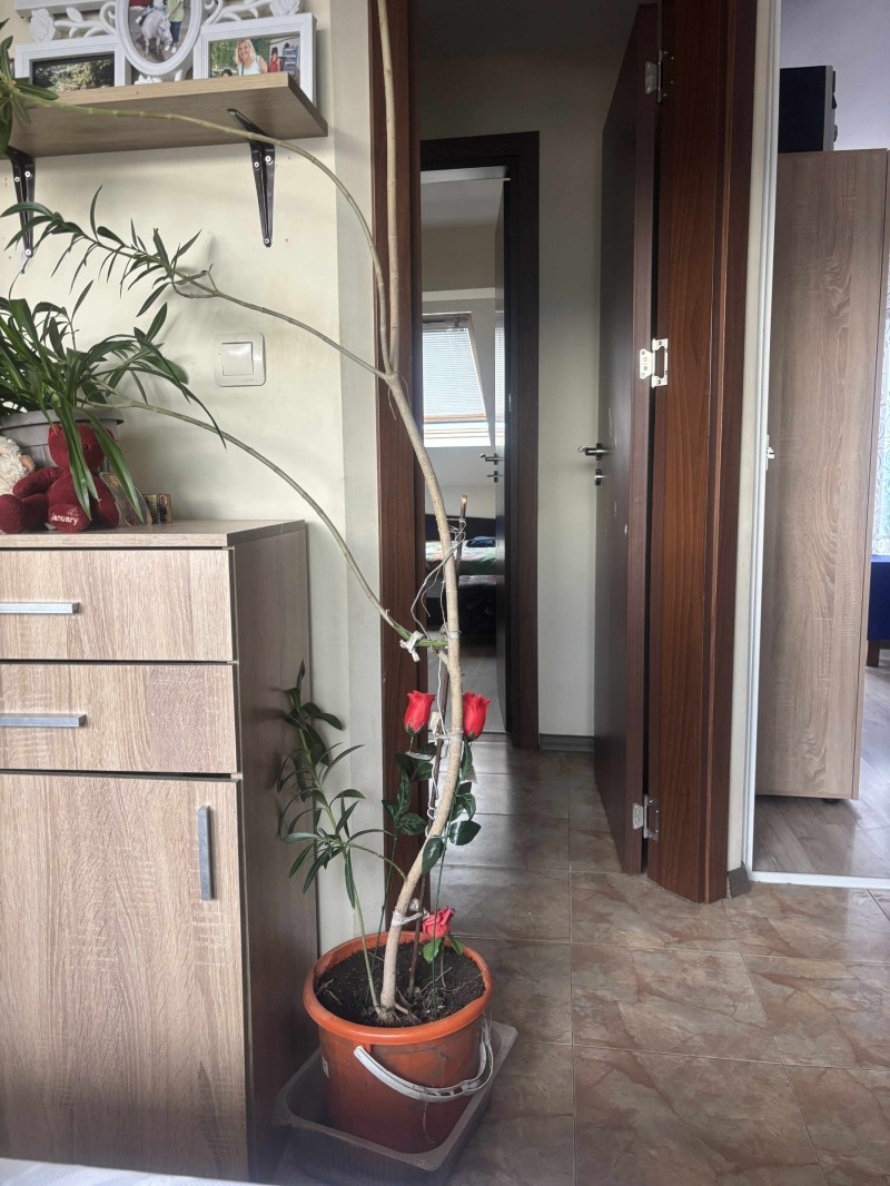 Продава  2-стаен град Благоевград , Грамада , 58 кв.м | 54340128 - изображение [3]
